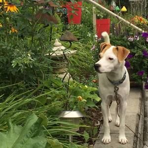 Meet your Posher, Jane